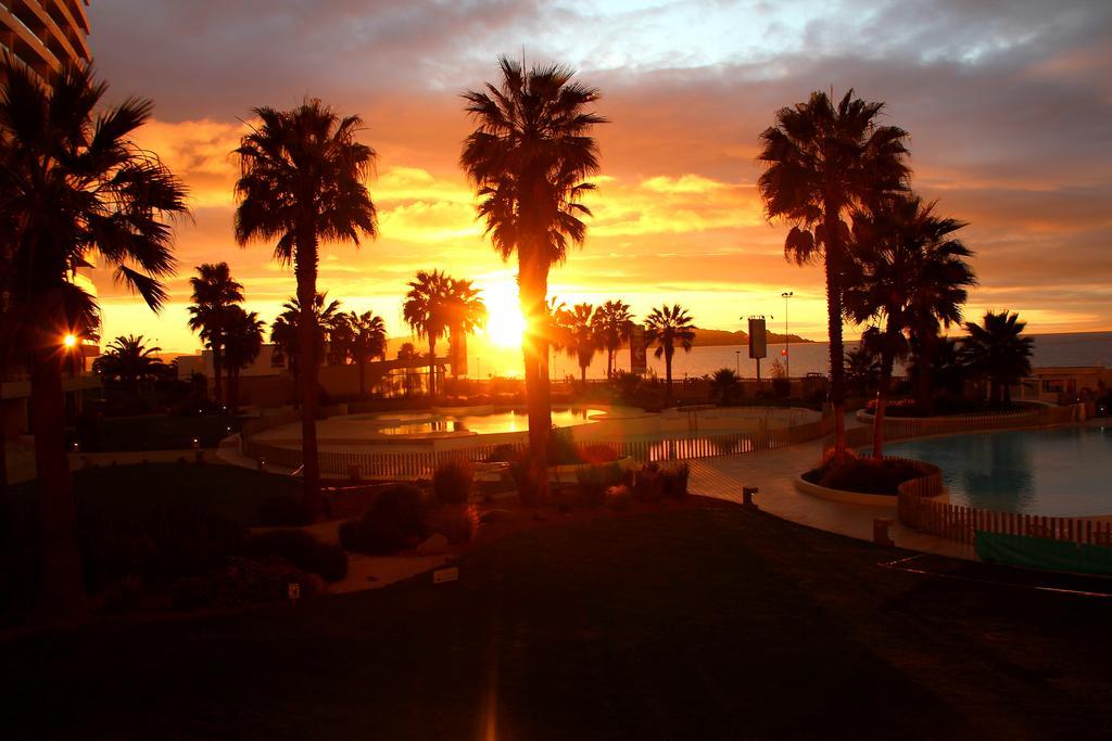 Jardin Del Mar Departamentos Coquimbo